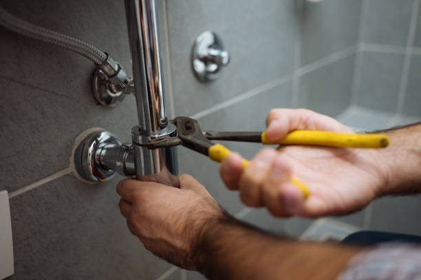 Best Shower Repair Services  in Centrevle, IL